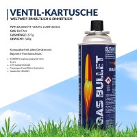 227g Ventil-Gaskartusche MSF-1A – Butan