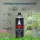 Rockit 227g Ventil-Kartusche Produkt=Energieerzeugnis (Flüssiggas) Blau 28 Kartuschen